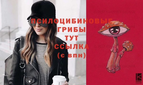спиды Алексеевка